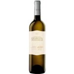Cuatro Rayas Cuarenta 40 Vendimias Sauvignon Blanc suché bílé 2022 13% 0,75 l (holá láhev) – Hledejceny.cz