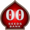 Semena konopí 00 Seeds Bank 00 Kush semena neobsahují THC 100 ks