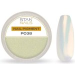 Starnails Nail Art zdobení pigment P038 – Hledejceny.cz