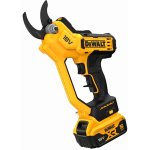 DeWALT DCMPP568P1 – Zboží Dáma