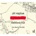 Jiří Hájíček - Dešťová hůl /MP3 (CD)