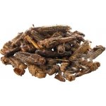 UGF sušené kobylky 20 g – Hledejceny.cz