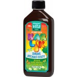 MaxiVita Herbal Bylinný sirup Kašlík 200 ml – Hledejceny.cz