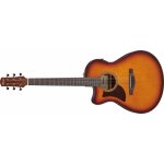 Ibanez AAM50 – Hledejceny.cz