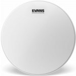 Evans B12G2 – Zboží Dáma