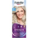 Pallete Intensive Color Creme C10 Ledový stříbřitě plavý barva na vlasy