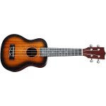 Tanglewood TWT 1 – Zbozi.Blesk.cz