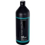 Matrix Total Results High Amplify Conditioner 1000 ml – Hledejceny.cz