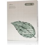 Isntree Spot Saver Mugwort Gauze Mask 10 x 23 g – Zboží Dáma