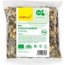 Wolfberry Dýňové semínko loupané BIO 100 g