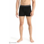 Icebreaker Mens Anatomica Boxers Black – Hledejceny.cz