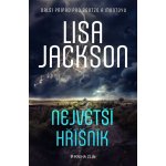 Největší hříšník - Lisa Jackson – Hledejceny.cz