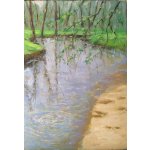 Joola Spring – Zboží Dáma