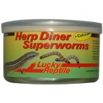 Lucky Reptile Herp Diner Superworms 35 g – Zboží Mobilmania