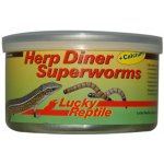 Lucky Reptile Herp Diner Superworms 35 g – Zboží Dáma