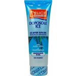 Delice Solaire Ice gel po opalování 250 ml – Hledejceny.cz