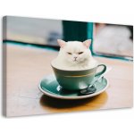 Gario Obraz na plátně Káva White Cat Cup - Galina Bugaevskaya Rozměry: 60 x 40 cm – Zbozi.Blesk.cz