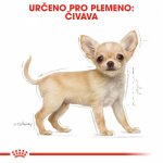 Royal Canin Chihuahua Puppy 0,5 kg – Hledejceny.cz