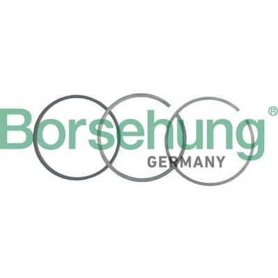 Sada pístních kroužků BORSEHUNG B19043 – Sleviste.cz