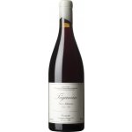 Envinate Taganan Tinto 2024 Červené 13% 0,75 l (holá láhev) – Hledejceny.cz