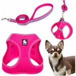 Truelove Postroj + vodítko sada pro malého psa – Hledejceny.cz