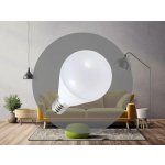 Nedes ZLS802 LED E14, G45, 5W, studená bílá – Hledejceny.cz