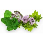 Spiro Therapy s obsahem 100% přírodních silic New Aroma 200 ml – Zboží Dáma