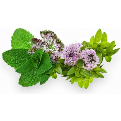 Spiro Therapy s obsahem 100% přírodních silic New Aroma 200 ml – Zboží Dáma