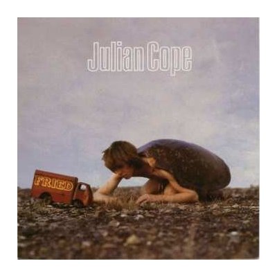 Julian Cope - Fried CD – Hledejceny.cz