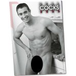 Real Cocks 2026 – Zboží Dáma