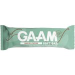 GAAM Proteinová Tyčinka 45 g – Hledejceny.cz