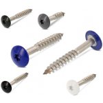 INOX ART. 9086 Vrut TRESPO s plochou hlavou na TORX, nerez A2 - LAKOVANÉ Varianta: Vrut TRESPO s plochou hlavou TORX, lakovaná hlava, nerez A2 5,5X45 TX20 - RAL 7016 – Hledejceny.cz