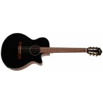 Ibanez AEG50N – Zboží Mobilmania