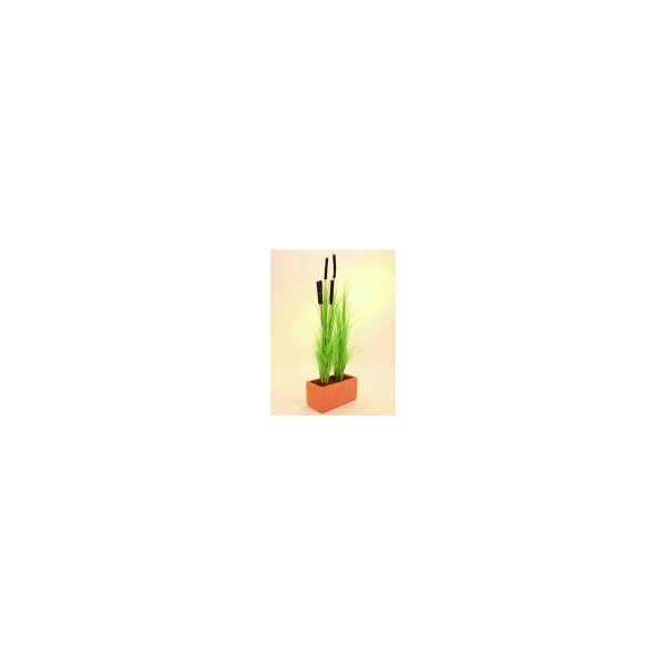 Květina Zblochan vodní světle zelený 127 cm