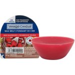 Yankee Candle vosk do aroma lampy Red Raspberry 22 g – Zboží Dáma