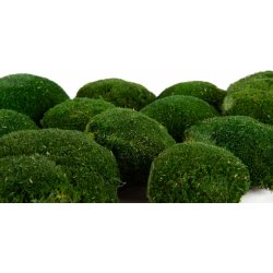 Stabilizovaný kopečkový mech (Ball Moss) Canopy | Přírodně zelený | 100 g
