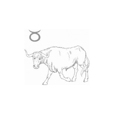 Býk – Zboží Dáma