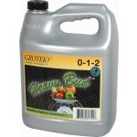 Grotek Heavy Bud PRO 500 ml – Zbozi.Blesk.cz