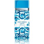 Dolce & Gabbana Light Blue Capri In Love parfémovaná voda dámská 100 ml – Hledejceny.cz