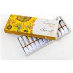 SONNET olejový umělecký set 12 barev v 10 ml tubě – Hledejceny.cz