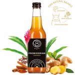 Bala21 Kombucha Zázvor s probiotiky 330 ml – Hledejceny.cz