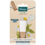 Kneipp Balzám na rty Repair & Prevent 4,7 g – Zboží Dáma