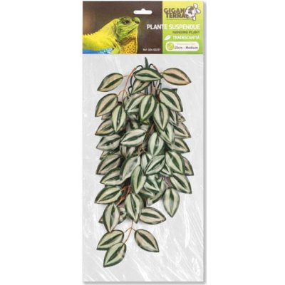 GiganTerra závěsná rostlina Tradescantia 45 cm – Zboží Mobilmania