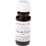Casa de Engel Eterický olej Eukalyptus 10 ml – Hledejceny.cz