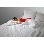 Kvalitex přikrývka Aloe Vera 220x240 – Zboží Dáma