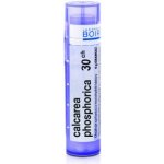 CALCAREA PHOSPHORICA POR 30CH GRA 1X4G – Hledejceny.cz