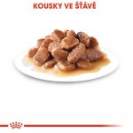 Royal Canin Sterilised Gravy 12 x 85 g – Zbozi.Blesk.cz