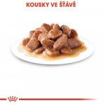 Royal Canin Sterilised Gravy 12 x 85 g – Zboží Mobilmania