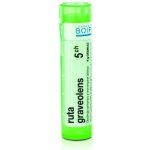 RUTA GRAVEOLENS POR 5CH GRA 4G – Hledejceny.cz