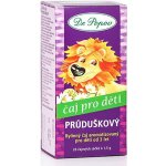 Dr. Popov bylinný Průduškový 30 g – Zboží Dáma